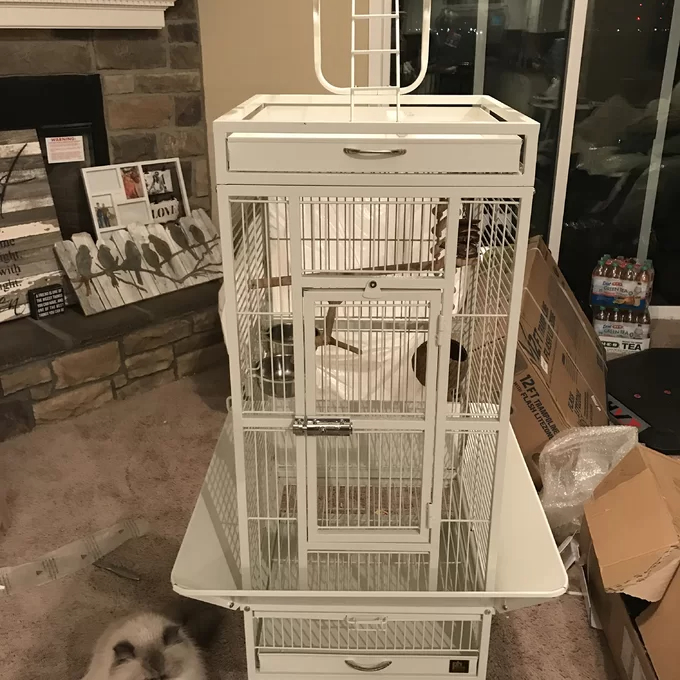 【Pet】Bremer Steel Play Top Floor Bird Cage with Wheels
