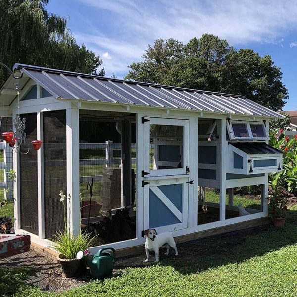 【Pet】Outdoor Chicken Coop