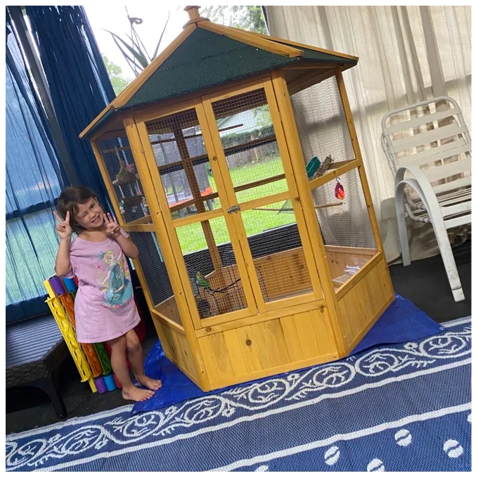 【Pet】Fielding 65'' Pointed Top Flight Cage with Perch