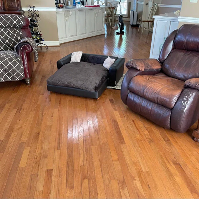 【Pet】Kayenta Premium Dog Sofa