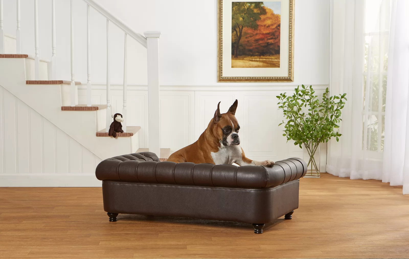 【Pet】Larock Dog Sofa