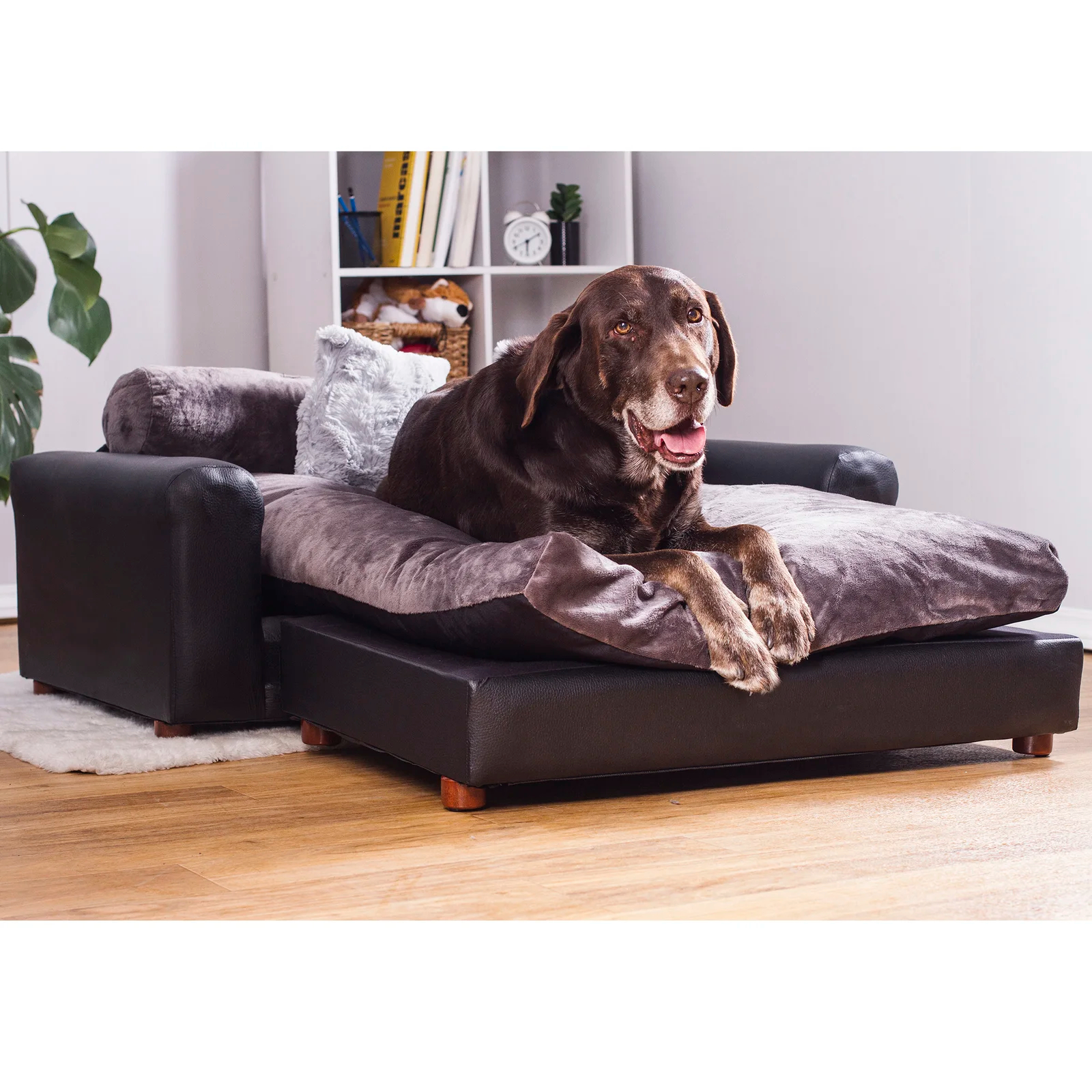 【Pet】Kayenta Premium Dog Sofa