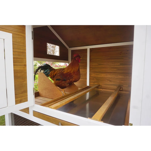 【Pet】Shanae Walk In Chicken Coop with Chicken Run For Up To 8 Chickens