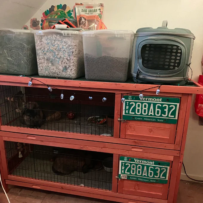 【Pet】Griffen Weather Resistant Hutch