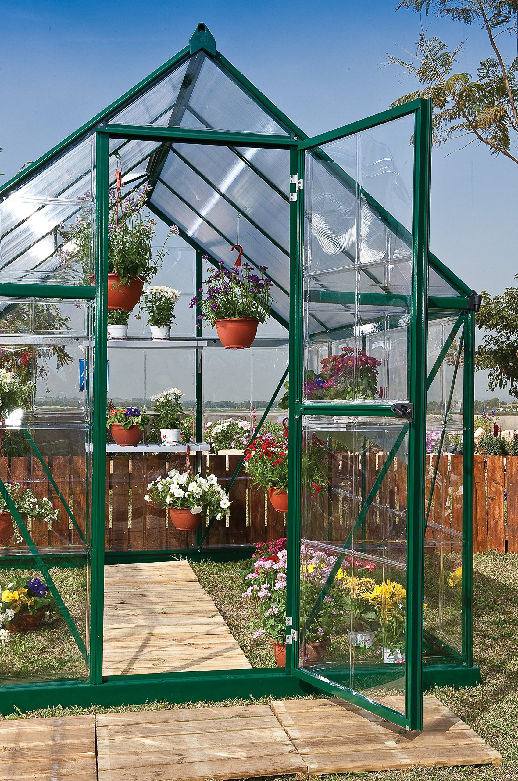 【Home&Garden】Canopia Hybrid 6' x 8' Greenhouse - Forest Green