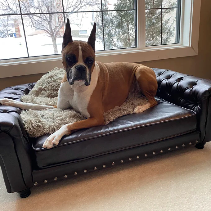 【Pet】Larock Dog Sofa