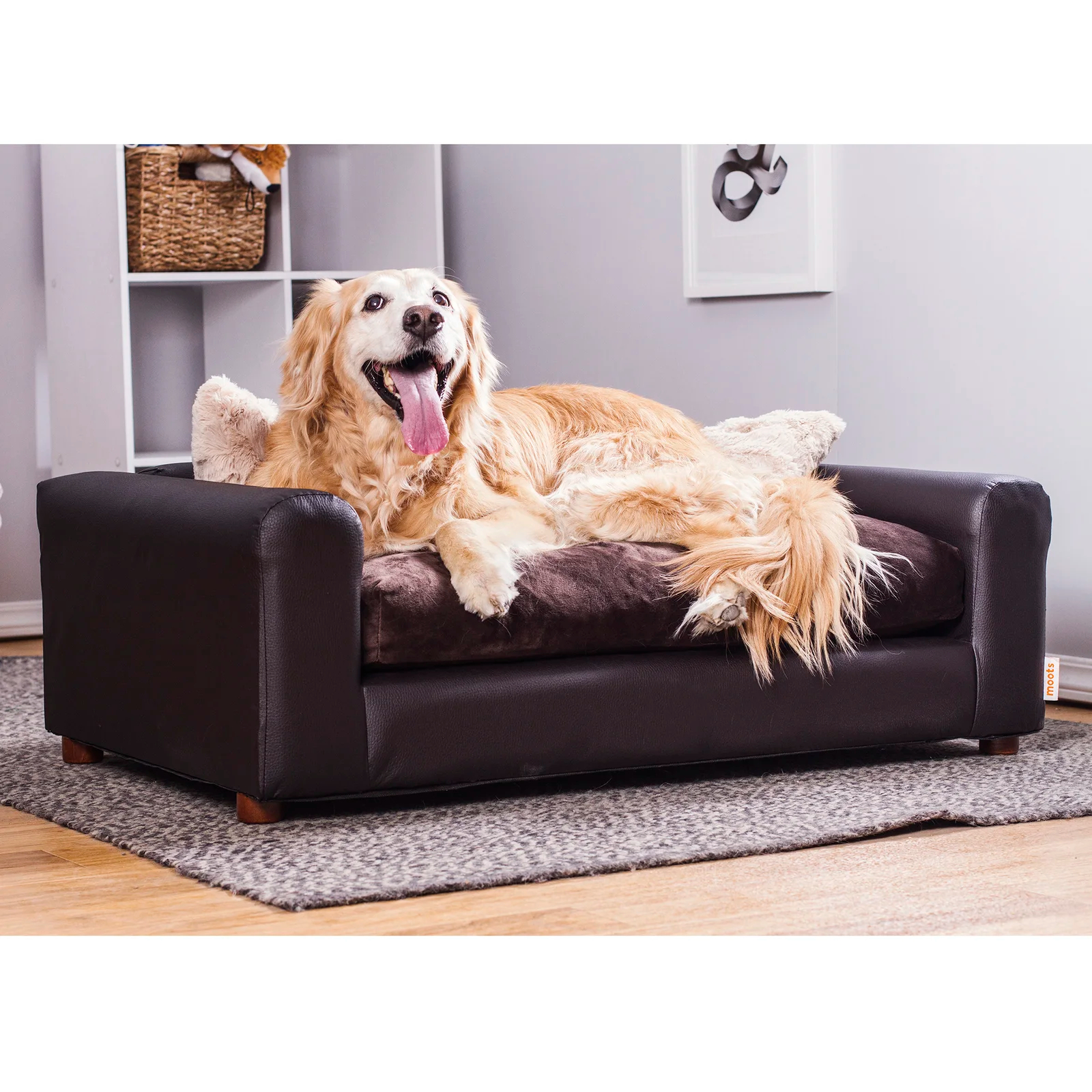 【Pet】Kayenta Premium Dog Sofa