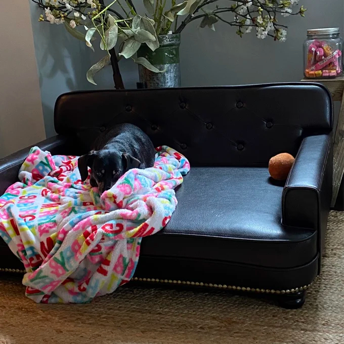 【Pet】Humphery Dog Sofa