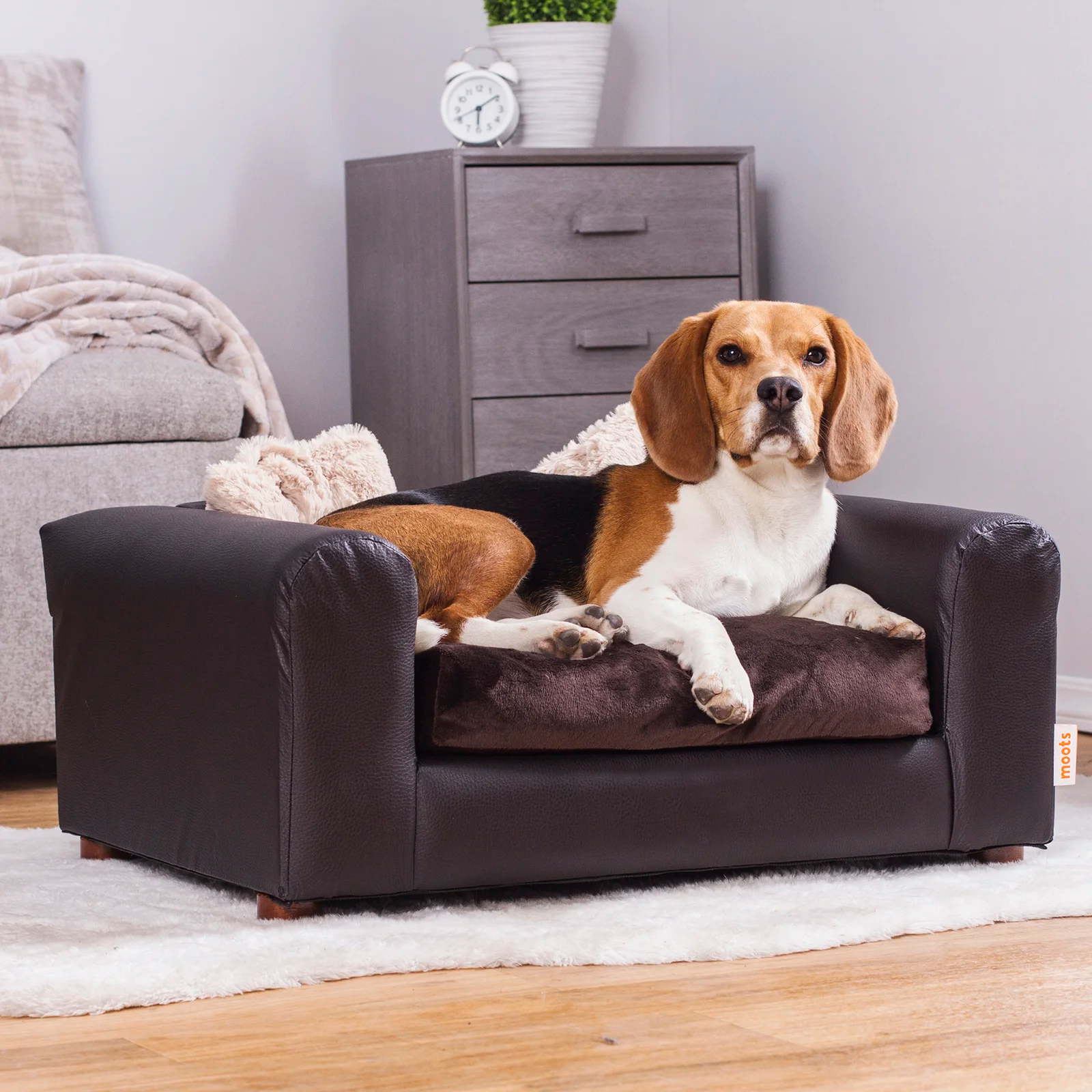【Pet】Kayenta Premium Dog Sofa