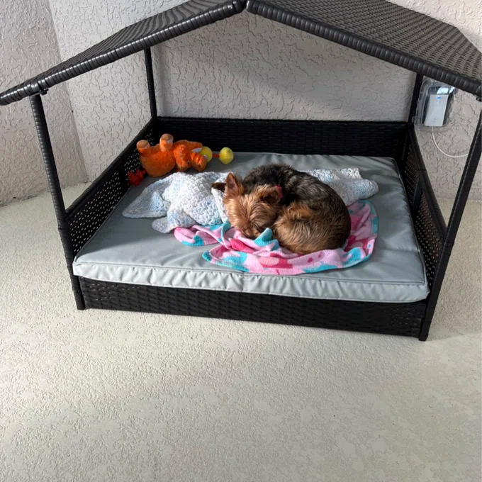 【Pet】Lollis Outdoor Wicker Cot Dog Bed