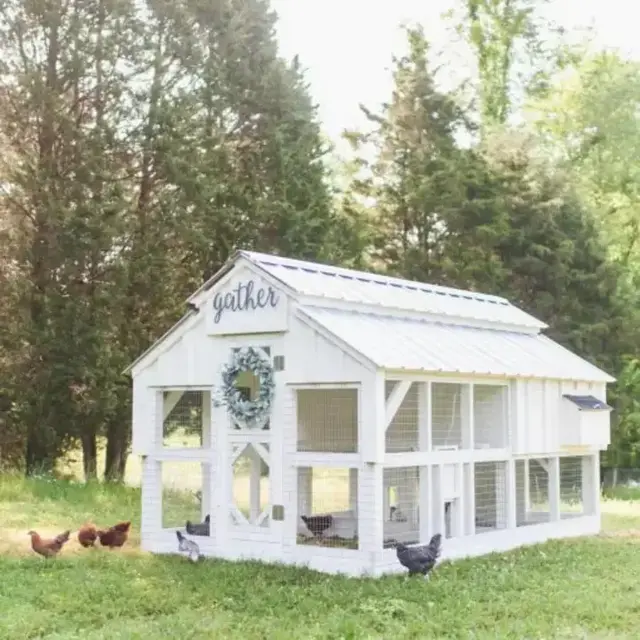 【Pet】Big fairy tale town chicken coop