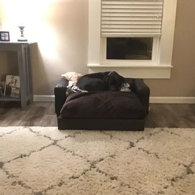 【Pet】Kayenta Premium Dog Sofa