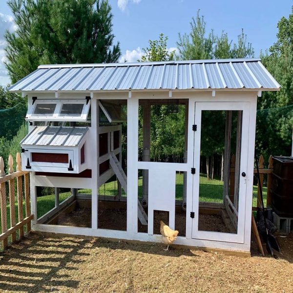 【Pet】Outdoor Chicken Coop