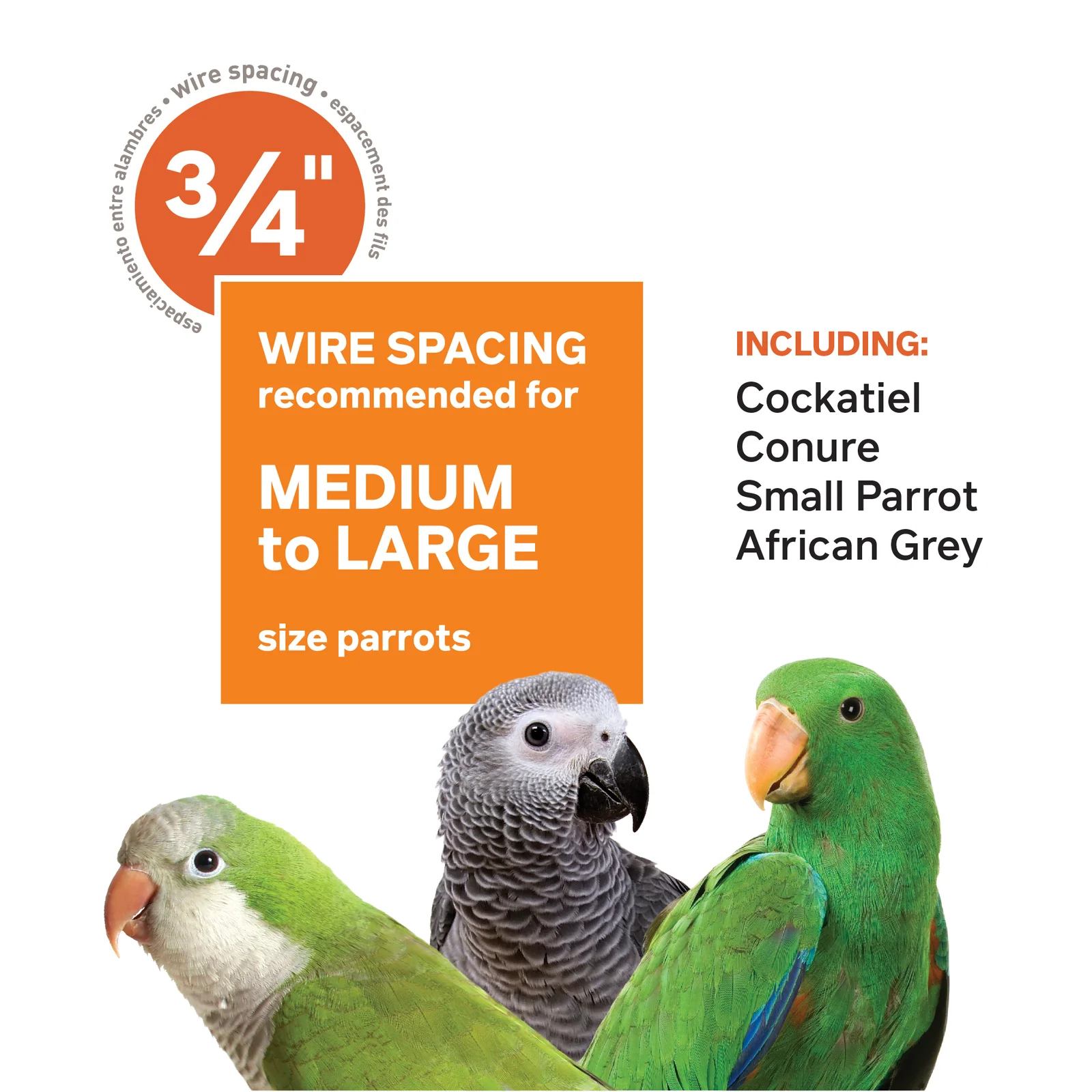 【Pet】Bremer Steel Play Top Floor Bird Cage with Wheels