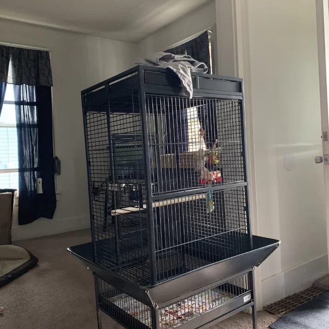 【Pet】Bremer Steel Play Top Floor Bird Cage with Wheels