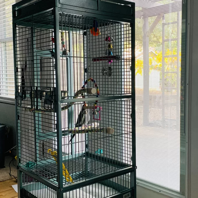 【Pet】Bremer Steel Play Top Floor Bird Cage with Wheels