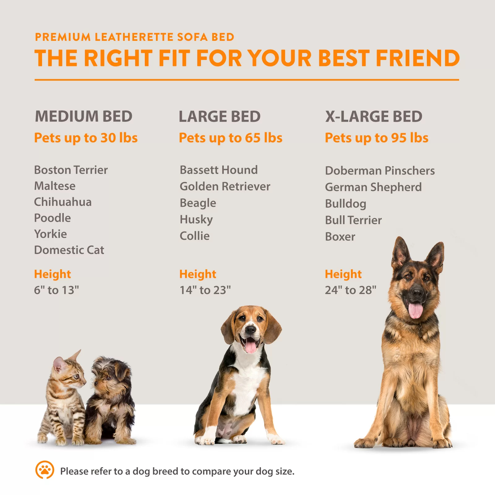 【Pet】Kayenta Premium Dog Sofa