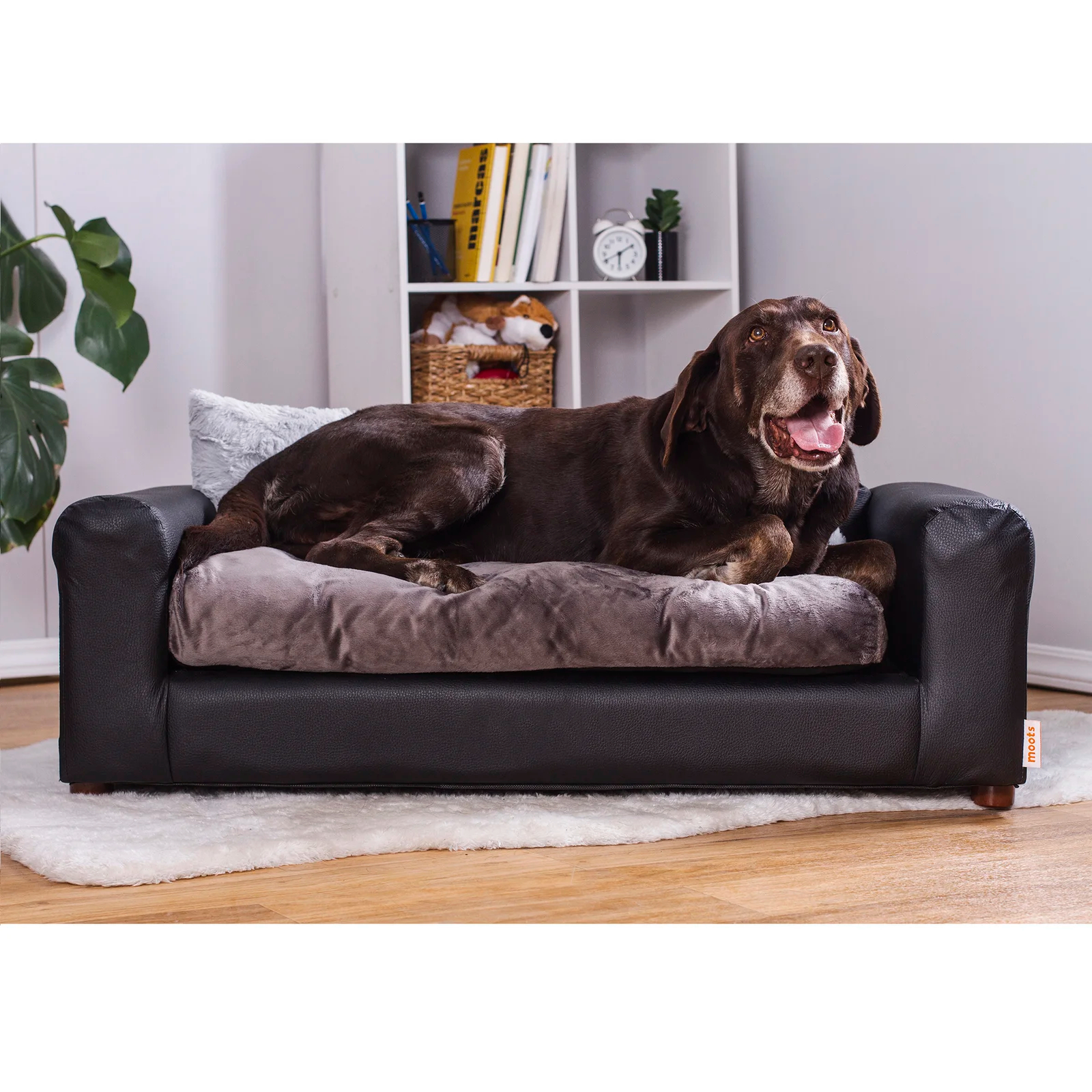 【Pet】Kayenta Premium Dog Sofa