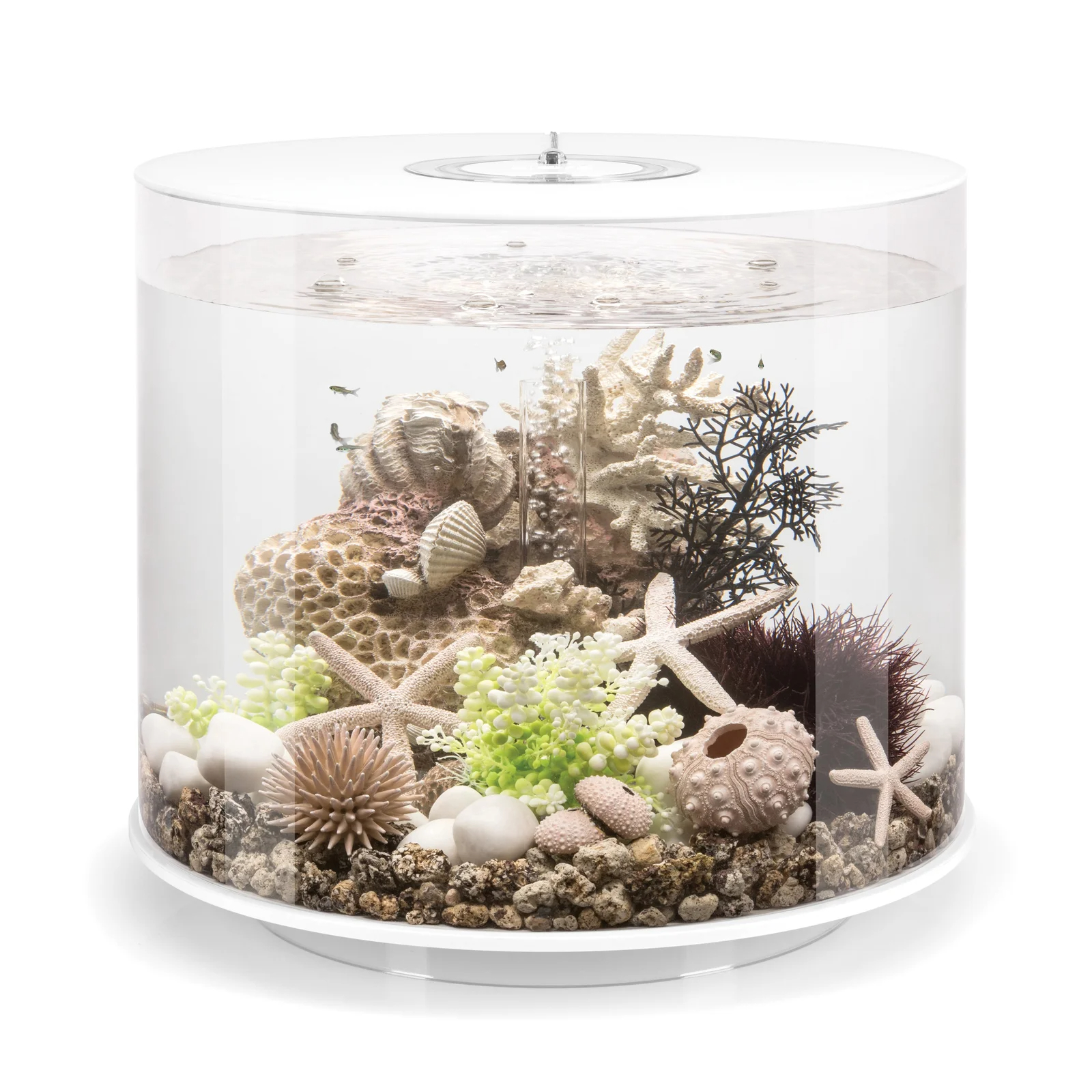 【Pet】Tube 35 9.2 Gallon Column Aquarium Tank with Standard Light
