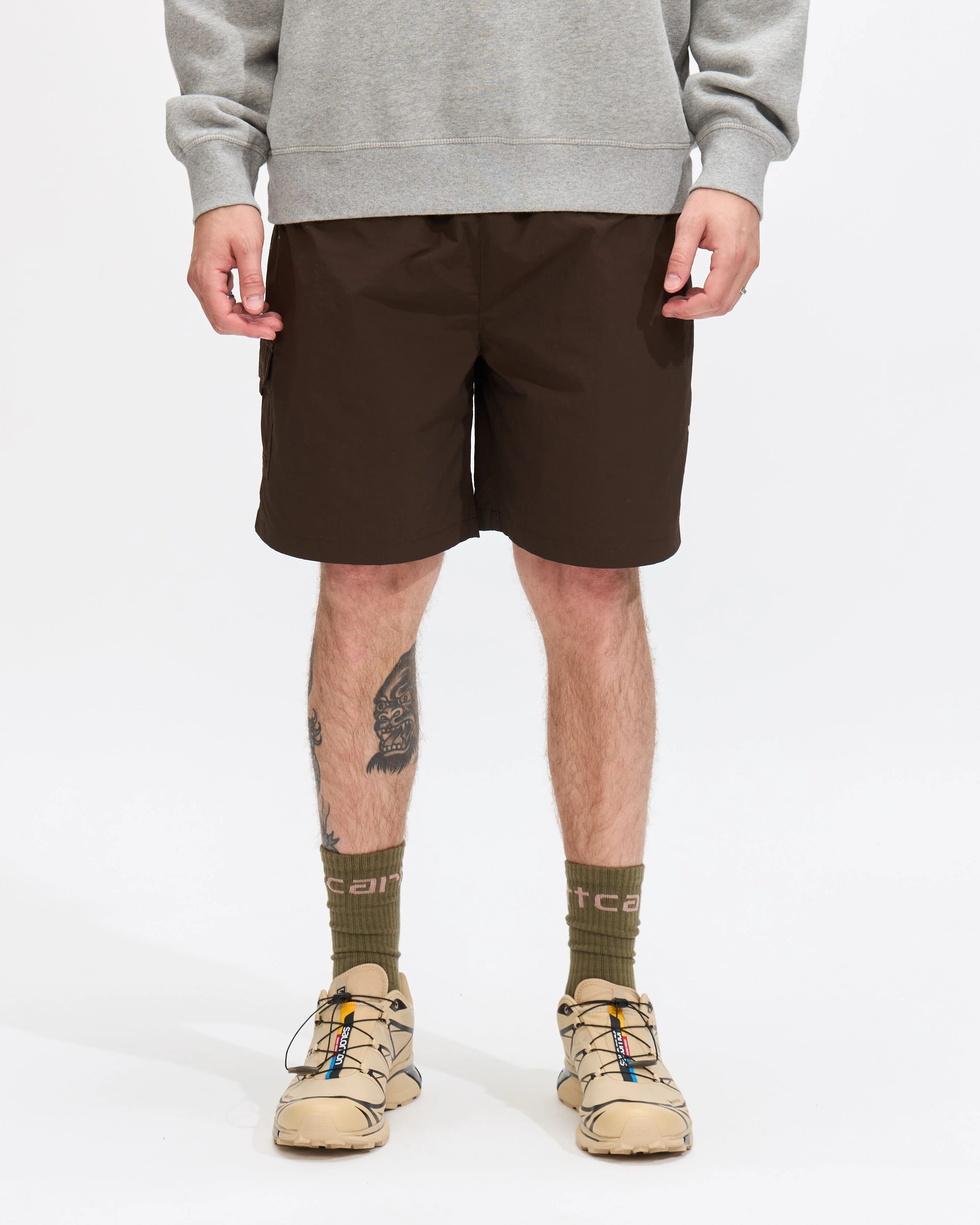 Painter Short in Delicioso