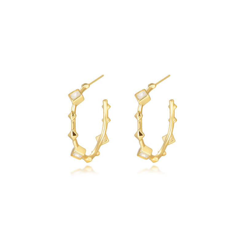 Light luxury C shape earrings AL24112208