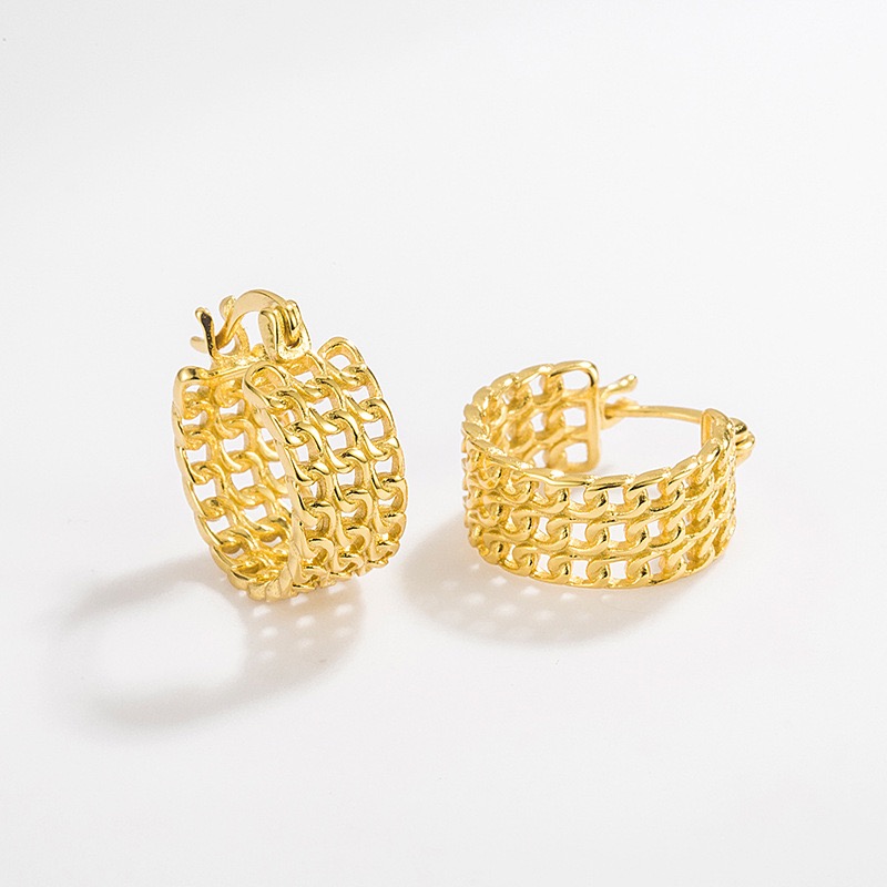 Light luxury mesh earrings AL24112419