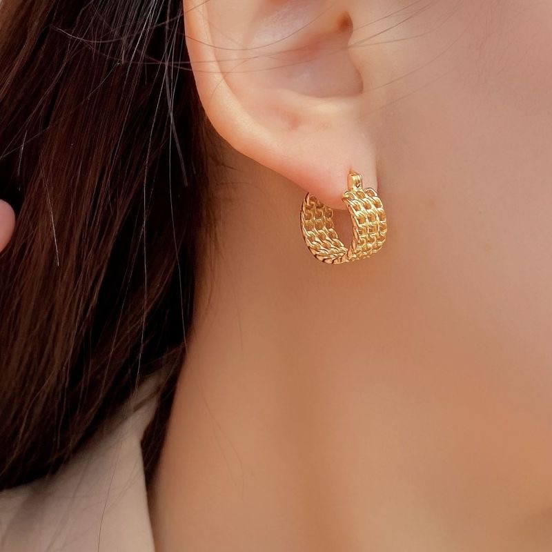 Light luxury mesh earrings AL24112419