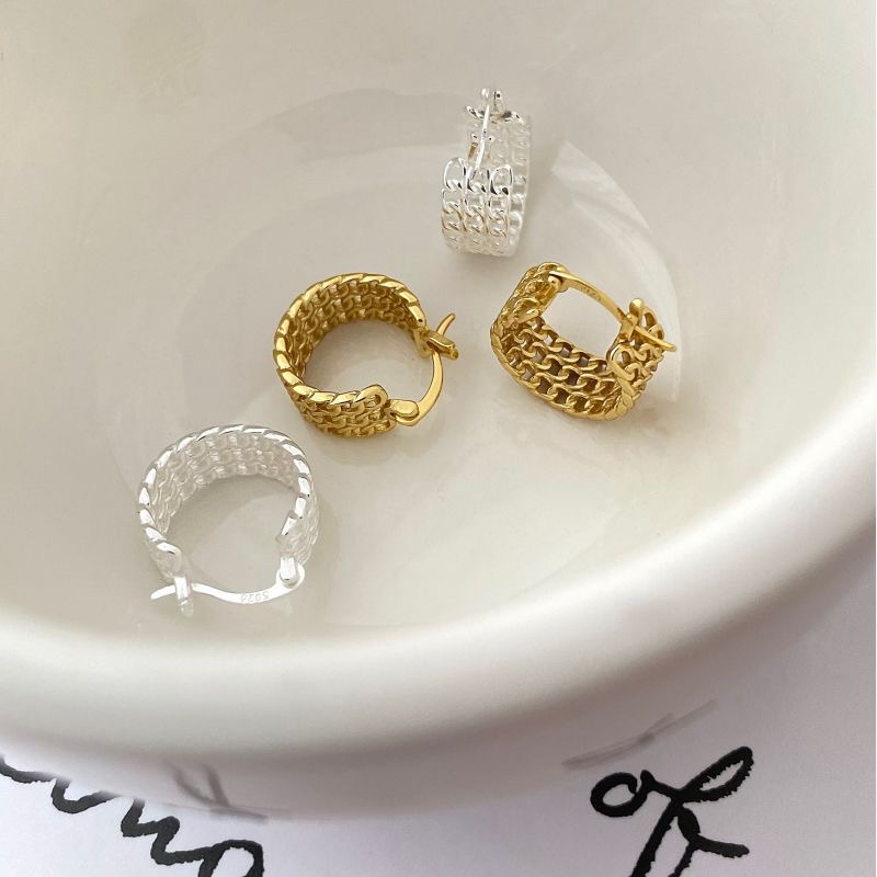 Light luxury mesh earrings AL24112419