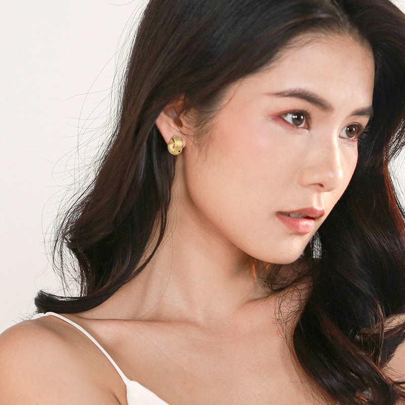 Light luxury brushed earrings AL24112407