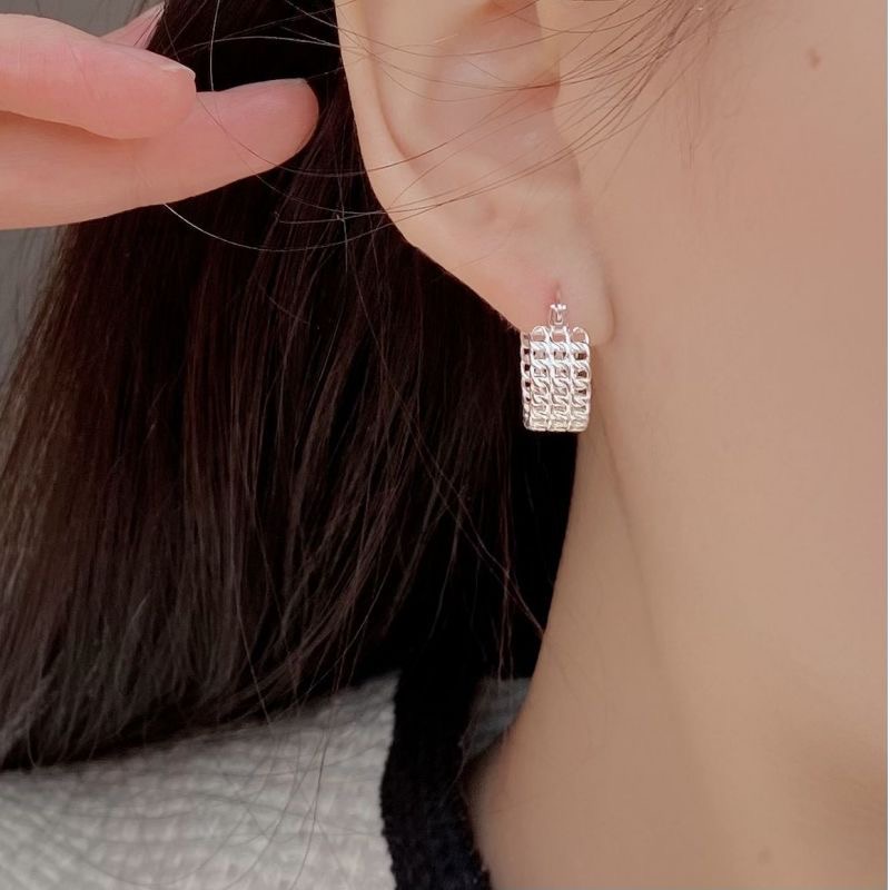 Light luxury mesh earrings AL24112419