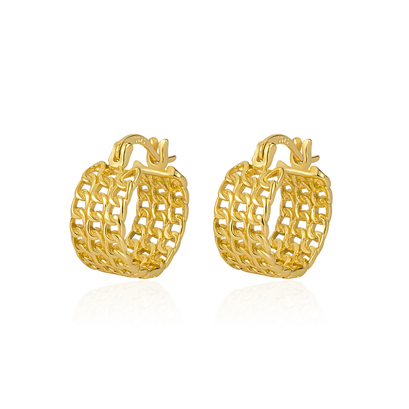 Light luxury mesh earrings AL24112419