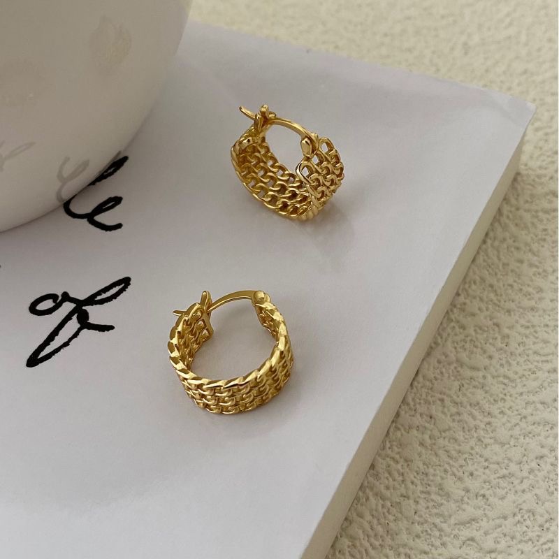 Light luxury mesh earrings AL24112419