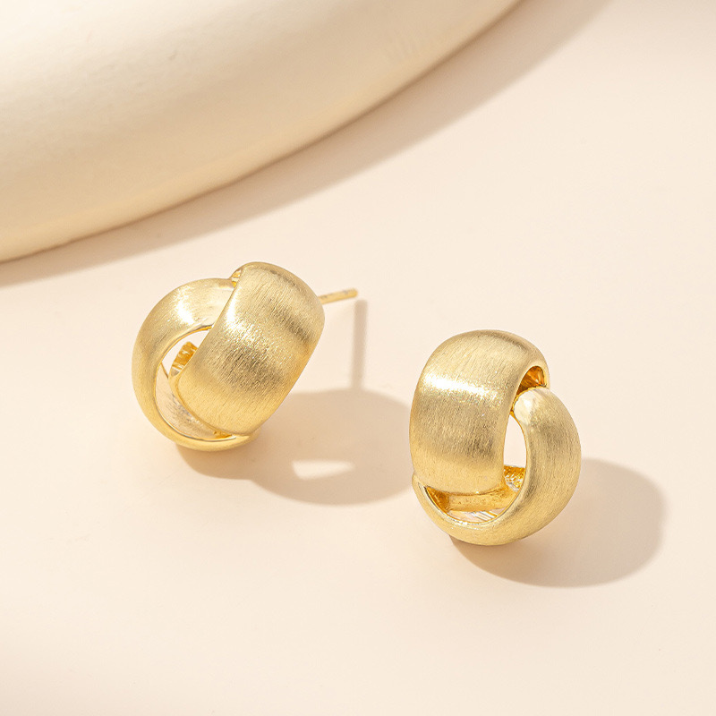 Light luxury brushed earrings AL24112407