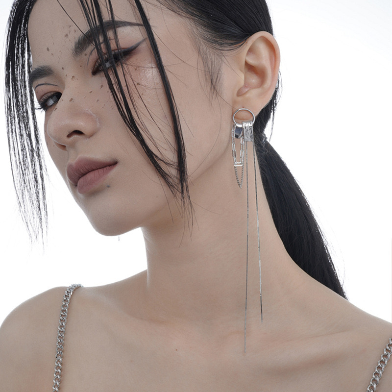 Light luxury one long and one short tassel silver earrings AL24111602