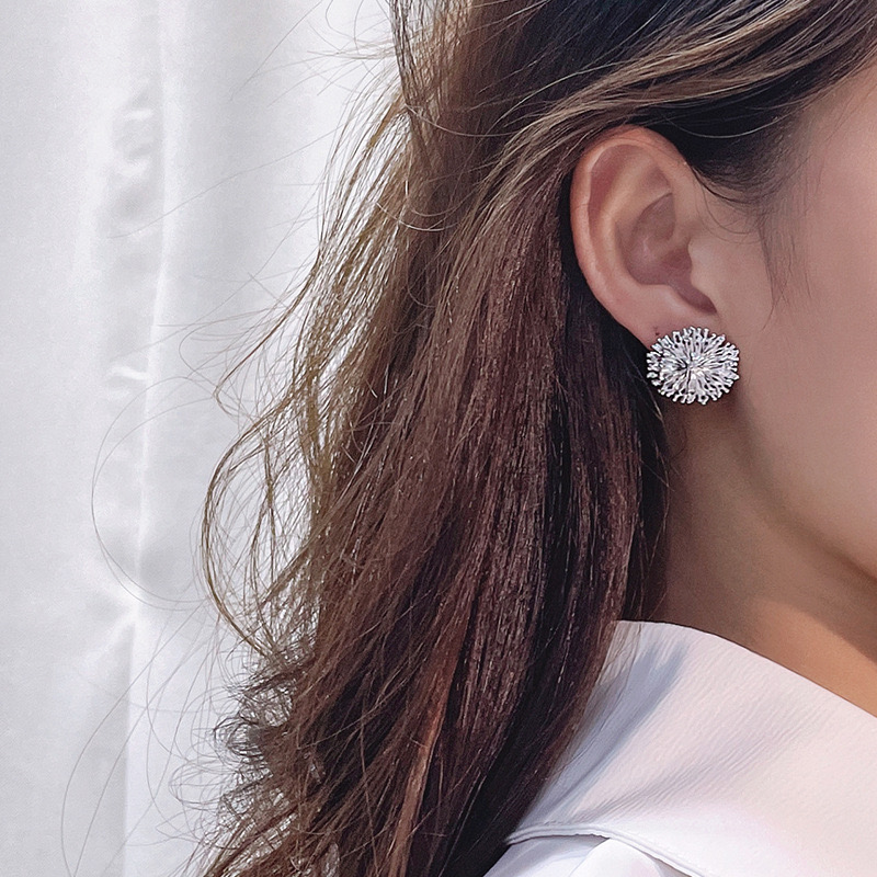 Chrysanthemum specimen