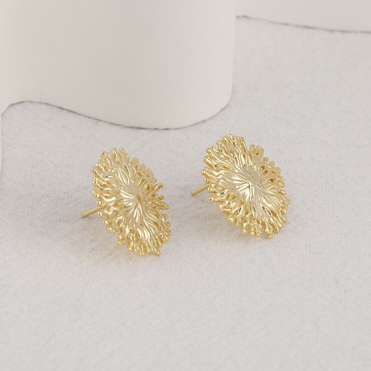 Chrysanthemum specimen