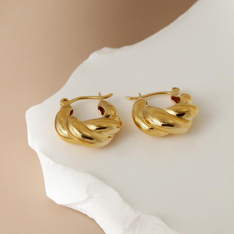Light luxury twisted shape personality earrings NN24113006