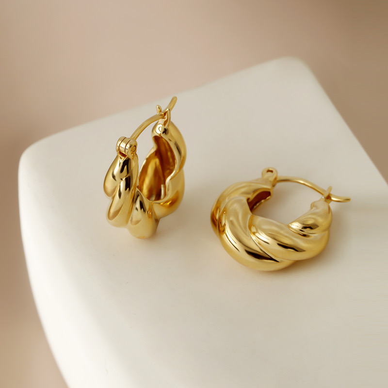 Light luxury twisted shape personality earrings NN24113006