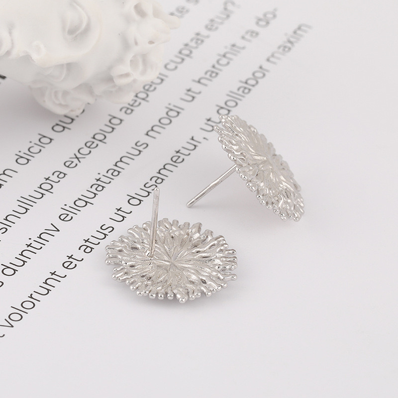 Chrysanthemum specimen