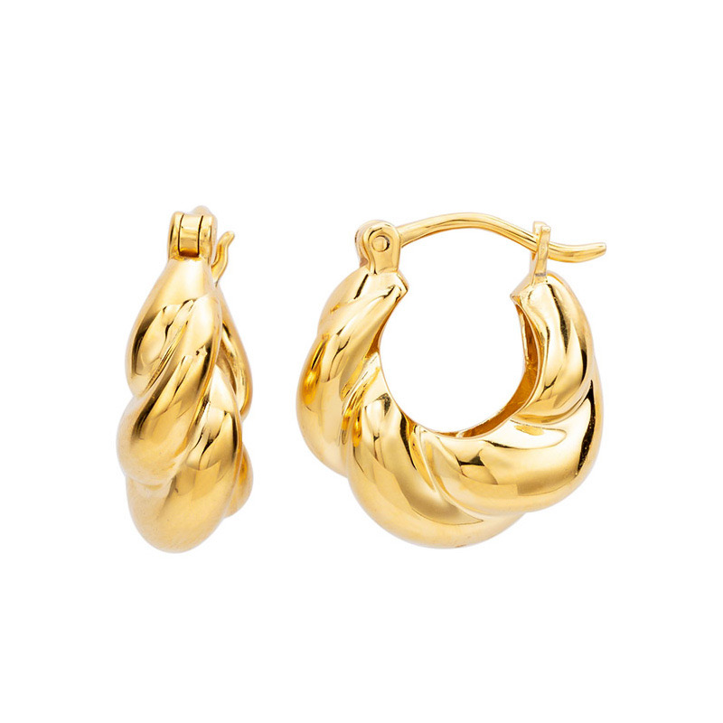 Light luxury twisted shape personality earrings NN24113006