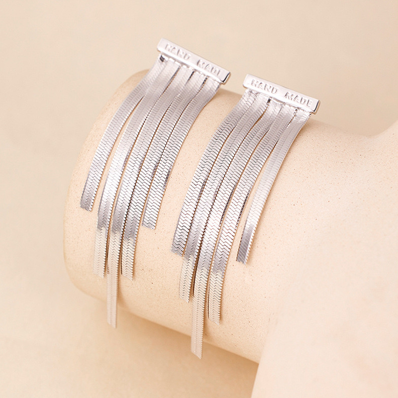 Light luxury platinum chain tassel earrings NN24120105