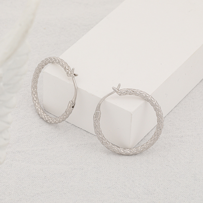 Light luxury geometric circle earrings