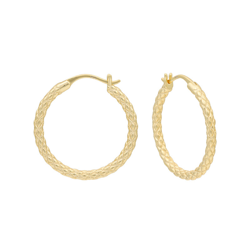Light luxury geometric circle earrings