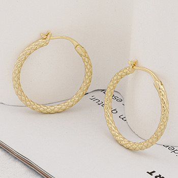 Light luxury geometric circle earrings