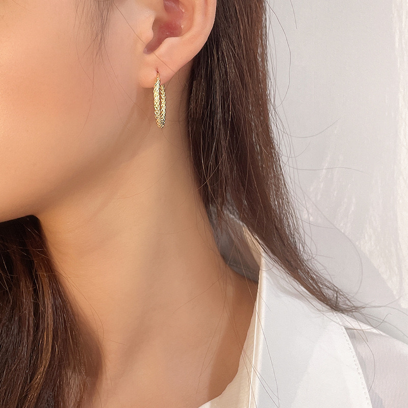 Light luxury geometric circle earrings