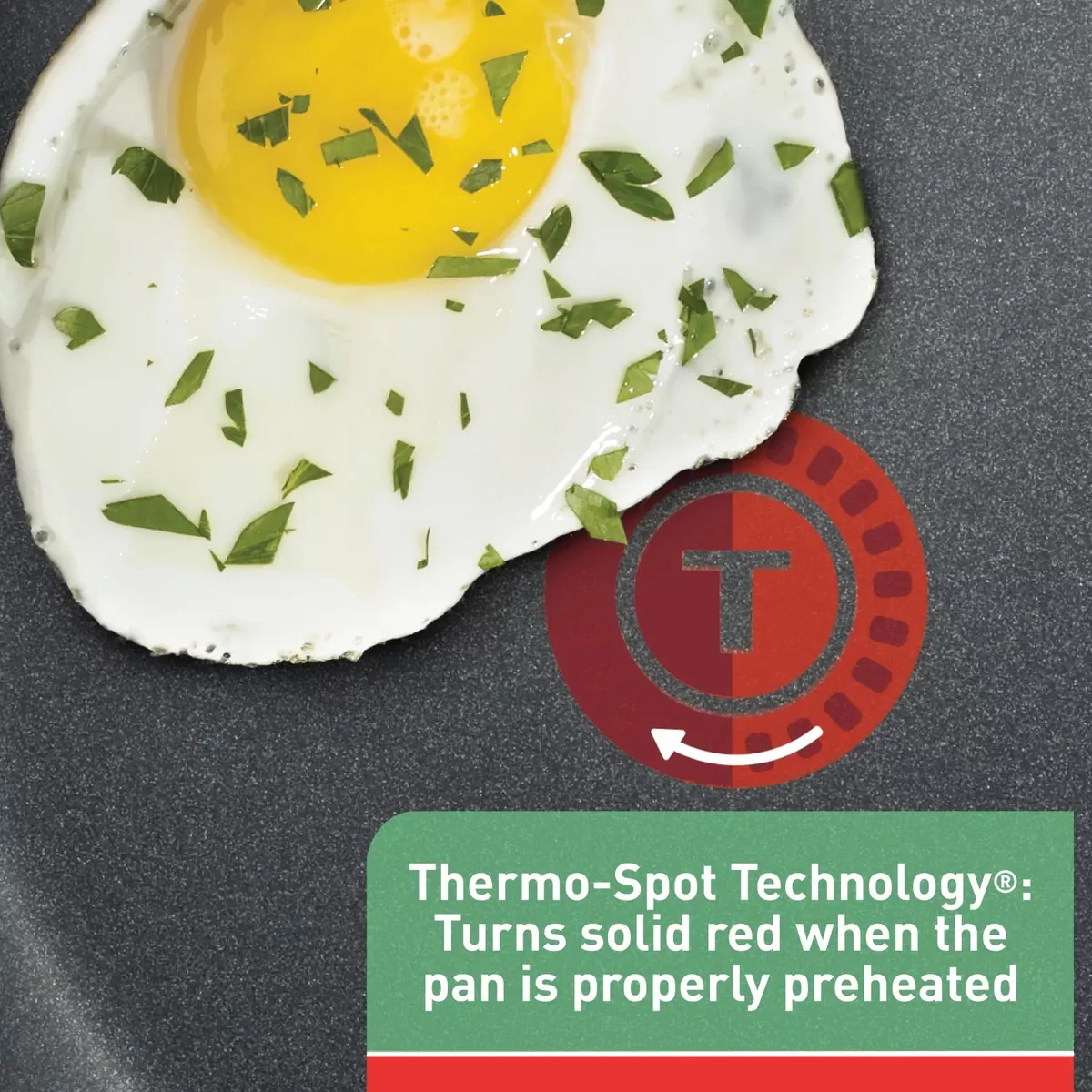 Bateria De Cocina T-fal  Solutions 22pzas Thermo-spot