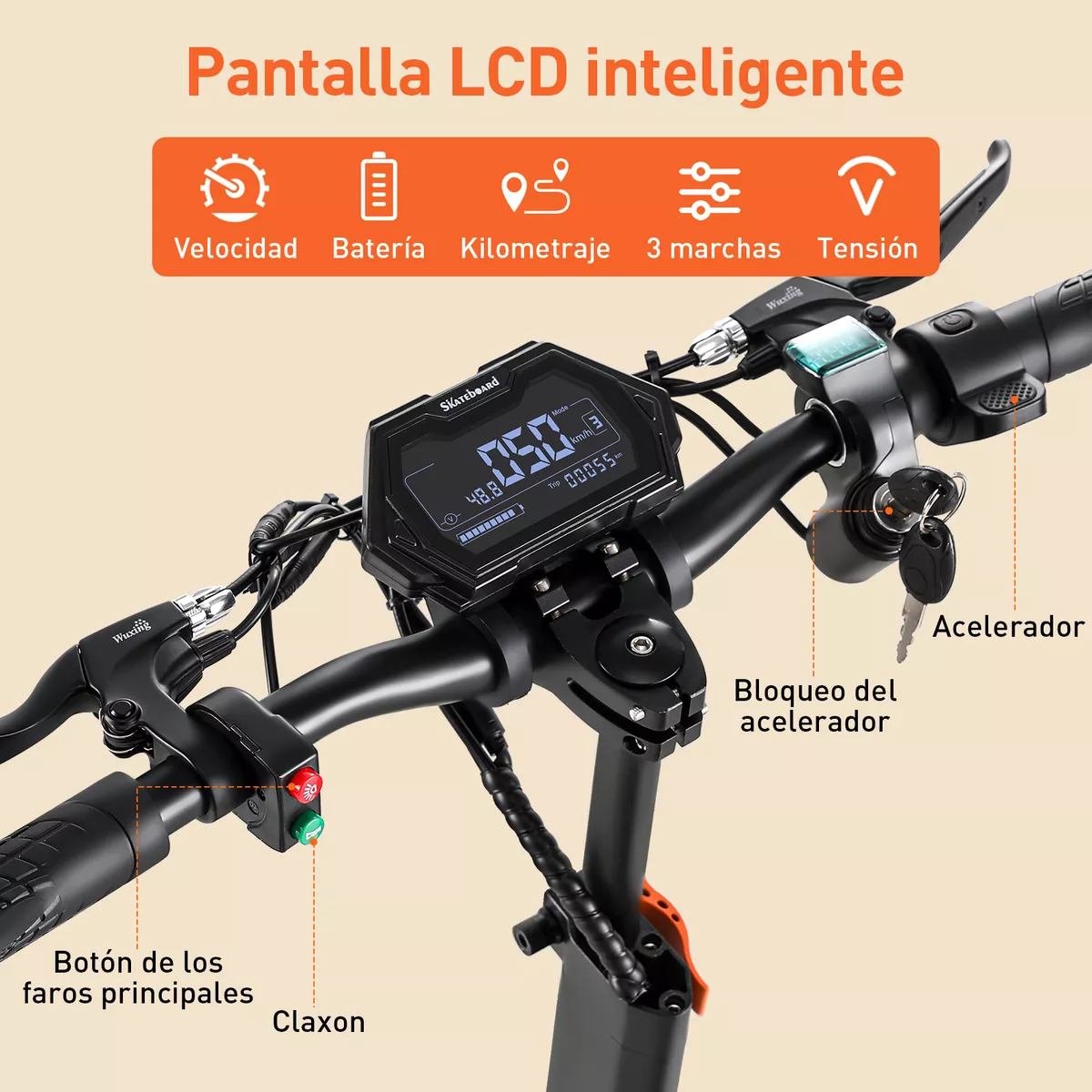 Scooter Eléctrico H3 Honey Whale C/asiento 1000w 55km/h