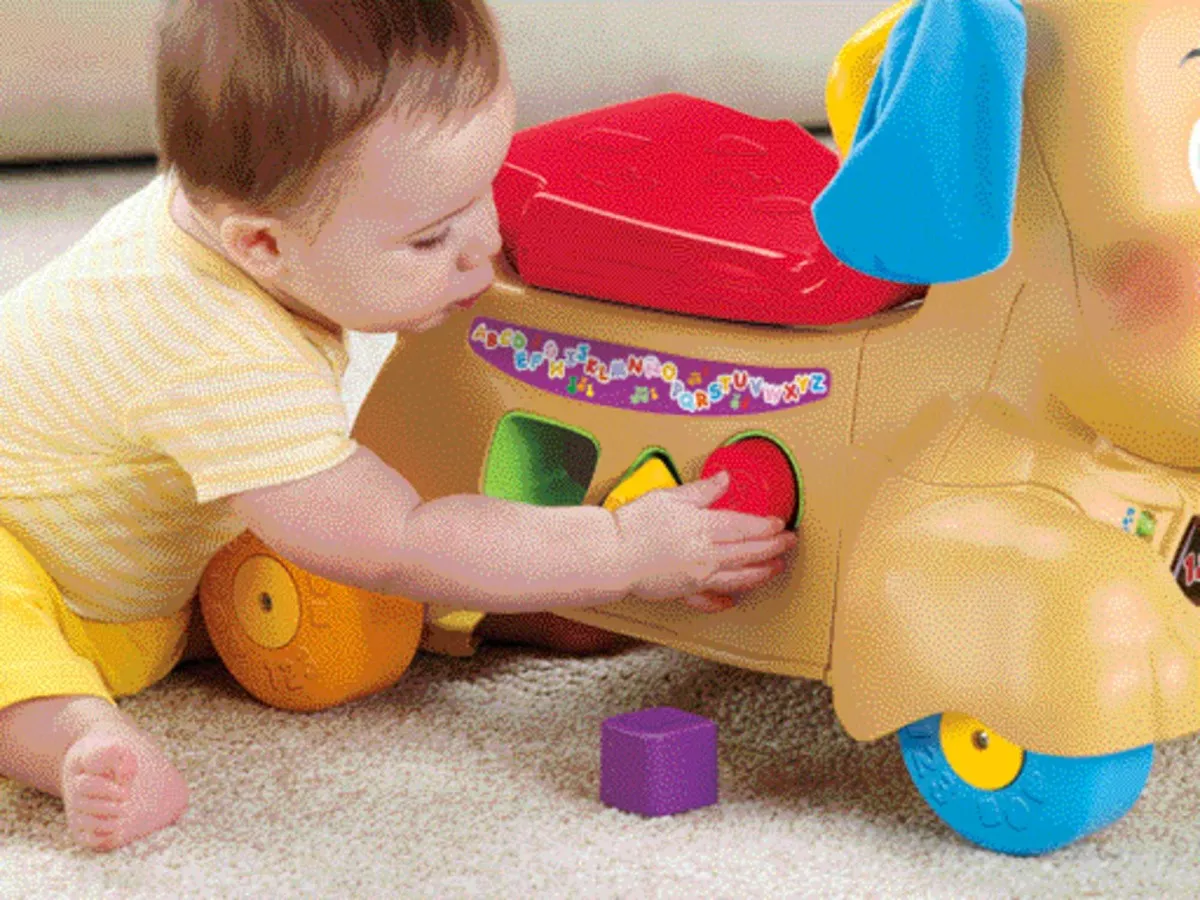 Andadera Para Bebés Fisher-price Perrito Camina Conmigo