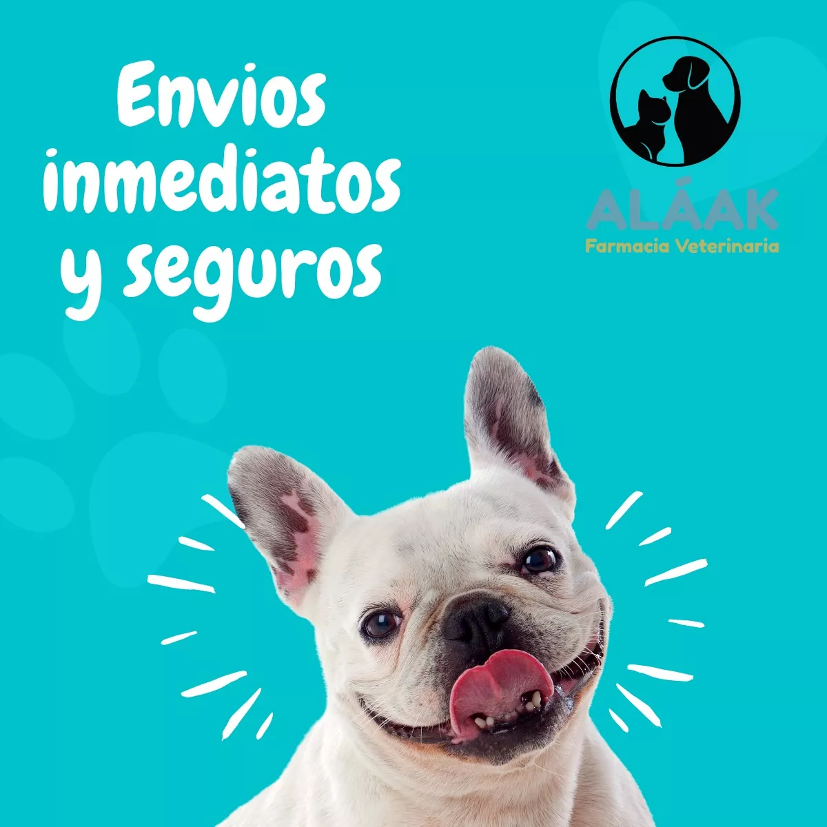 Proteliv 21 Comprimidos Holliday Protector Hepático