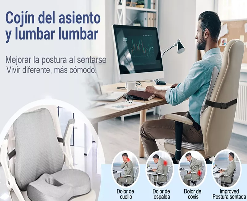 Cojín Del Asiento Y Almohada De Soporte Lumbar Para Espalda